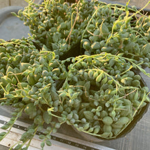 画像をギャラリービューアに読み込む, ピーチネックレス
